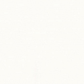 PARADYZ GAMMA BIALA B 19.8X19.8