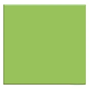ALMERA CERAMICA RAINBOW GMM40160P GREEN 60X60