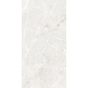 ECOCERAMIC BRASILIA WHITE 004 60Х120
