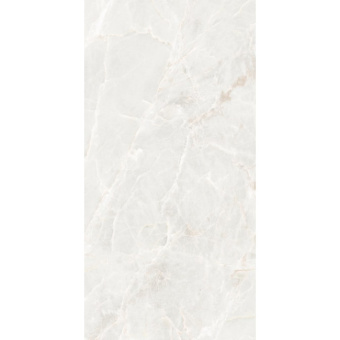 ECOCERAMIC BRASILIA WHITE 004 60Х120