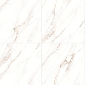 MEGAGRES W6P601B 60X60