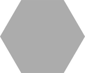 CODICER 95 SOLID HEX SILVER 22Х25