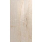 KUTAHYA OPAL BONE RT POLISH N 60X120