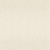 PARADYZ HALL IVORY SZKL MAT 60X60