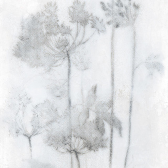 MIRAGE PAPIER BDK0 ESP FROID LUC SQ 120X278X0,6