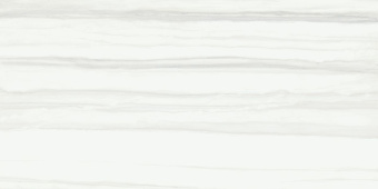 RICCHETTI CERAMICHE PURE ZEBRINO RT 60X120