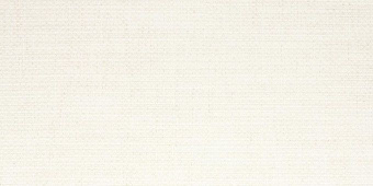 LASSELSBERGER RAKO NEXT LIGHT BEIGE 29,8X59,8