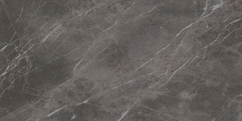 PAMESA PIAVE ARGENT LEVIGLASS 60X120