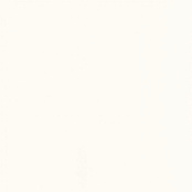 PARADYZ INWESTA GAMMA BIANCO SCIANA POLYSK 19,8X19,8