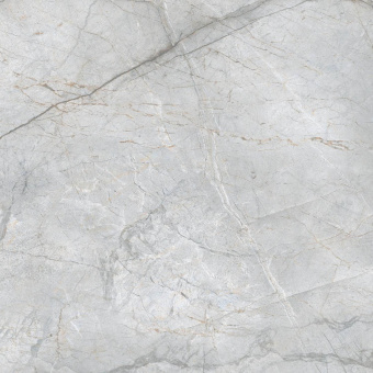 CODICER 95 VELVET SILVER 66Х66