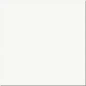 OPOCZNO WHITE SATIN 42X42