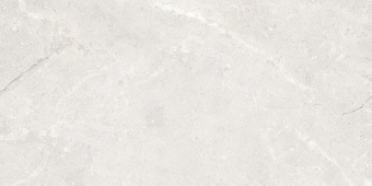 FANAL LORD BLANCO REC. 60Х120