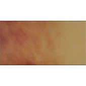 Фото плитки CERRAD JESIENNY LISC 14.8X30 из коллекции CERRAD SHADOW 