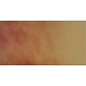 CERRAD JESIENNY LISC 14.8X30