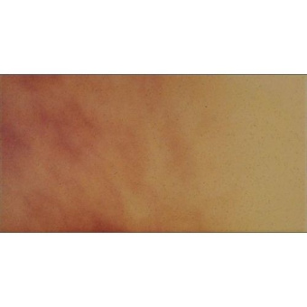 CERRAD JESIENNY LISC 14.8X30