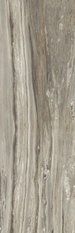 REX ETOILE TROPICAL GLOSSY RET 60X240