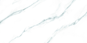 FANAL CARRARA REC. 60Х120X9,2