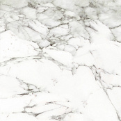 PORCELANOSA CALACATTA G347 SILVER 59.6X59.6