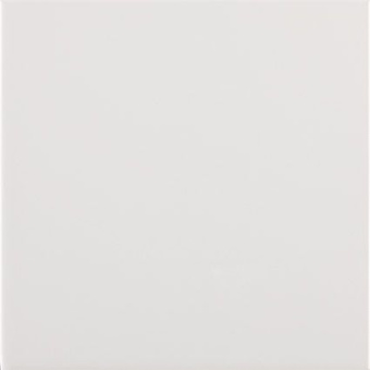 PAMESA AGATHA BLANCO 25X25