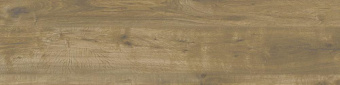 RAGNO WOODTALE QUERCIA RECT 20X120
