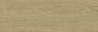 PARADYZ DECORWOOD GOLD STR 20X60X0,8