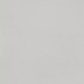 CERAMICA DESEO AT.BIO PEARL 60,8Х60,8