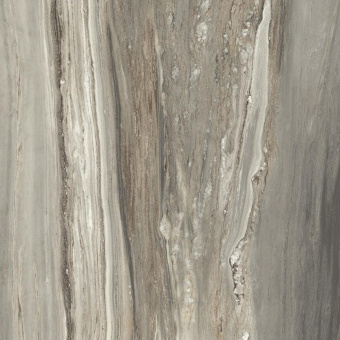 REX ETOILE TROPICAL GLOSSY RET 60X60