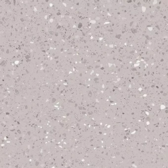 LASSELSBERGER RAKO PORFIDO DAS63811 GREY 59,8X59,8