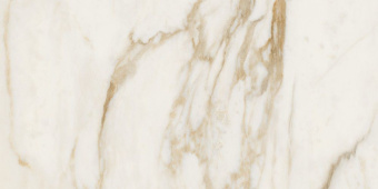 GARDENIA ORCHIDEA MAXIMVS CALACATTA BRIGHT LUX R 60X120