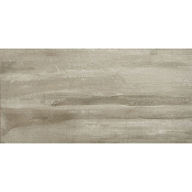 APAVISA FORMA TAUPE STUCCATO 59.55x119.3