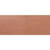 APE THIS IS COTO 20x50