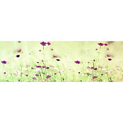 CERAMIKA COLOR LUNA SPRING ДЕКОР 25x75