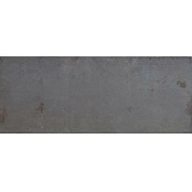 PORCELANOSA STEEL G276 SHINE ANTRACITA 59.6X150