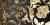 GARDENIA ORCHIDEA EMOTE DEC.BAROCCO NERO-ORO 39X78 GARDENIA ORCHIDEA EMOTE DEC.BAROCCO NERO-ORO 39X78