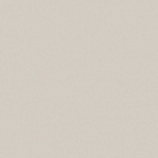 PARADYZ INWESTA GAMMA POPIELATA SCIANA POLYSK 19,8X19,8