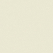 PARADYZ INWESTA GAMMA WANILIOWA SCIANA POLYSK 19,8X19,8