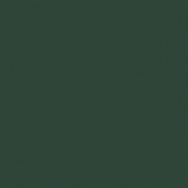 CERIM CRAYONS MOSS 767240​​ 120X240X0,6