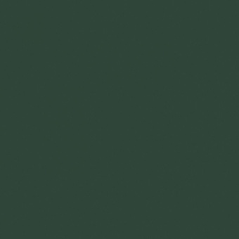 CERIM CRAYONS MOSS 767240​​ 120X240X0,6