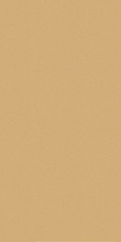 CERDISA EC1/22 / ECC RAY NATURAL RETT 60X120