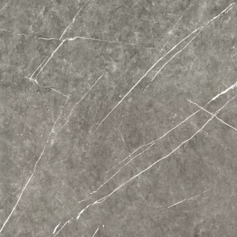 ALMERA CERAMICA COLUMBIA GRIS MT 100Х100