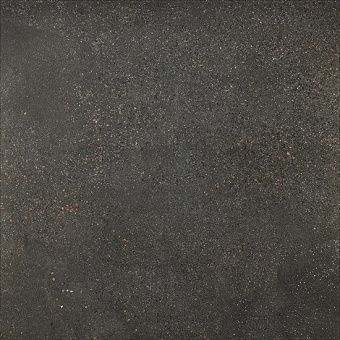 FIORANESE I COCCI GRAFITE 60X60