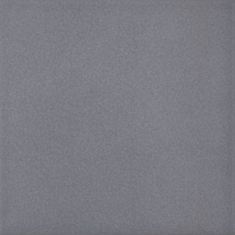 PARADYZ GAMMA GRAFIT SCIANA POLYSK 19,8x19,8