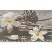 CERSANIT OLIVIA DEC GREY SPA2 25X40