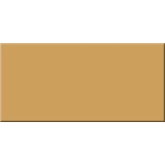 APE TONALITYFORTUNE MATT RECT 60X120