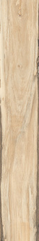 RONDINE SHERWOOD MAPLE 24X150