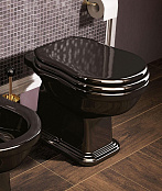 НАПОЛЬНЫЙ УНИТАЗ FLAMINIA EFI, BLACK (6011)