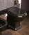 НАПОЛЬНЫЙ УНИТАЗ FLAMINIA EFI, BLACK (6011) НАПОЛЬНЫЙ УНИТАЗ FLAMINIA EFI, BLACK (6011)