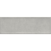 SALONI BORDER GRIS EKA710 20x60