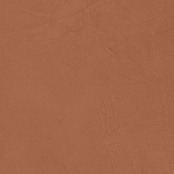 ATLAS CONCORDE PRISM CARAMEL A4VI 120X278X0,6