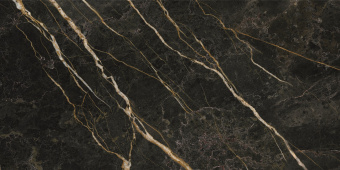 BALDOCER WACOM FOREST POLISHED 60X120X9.4